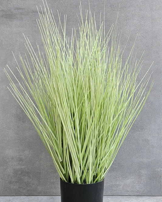 Festuca Gras Imitat im Topf – 58cm hoch, pflegeleicht & dekorativ